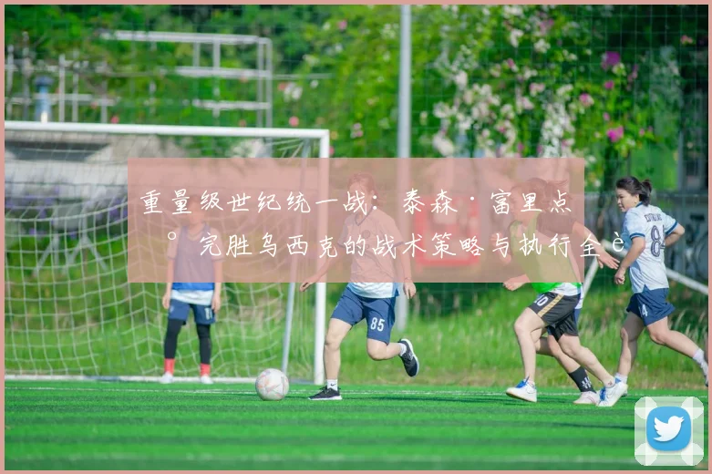 重量级世纪统一战：泰森·富里点数完胜乌西克的战术策略与执行全解析