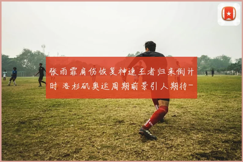 张雨霏肩伤恢复神速王者归来倒计时 洛杉矶奥运周期前景引人期待