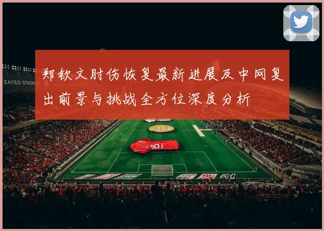 郑钦文肘伤恢复最新进展及中网复出前景与挑战全方位深度分析